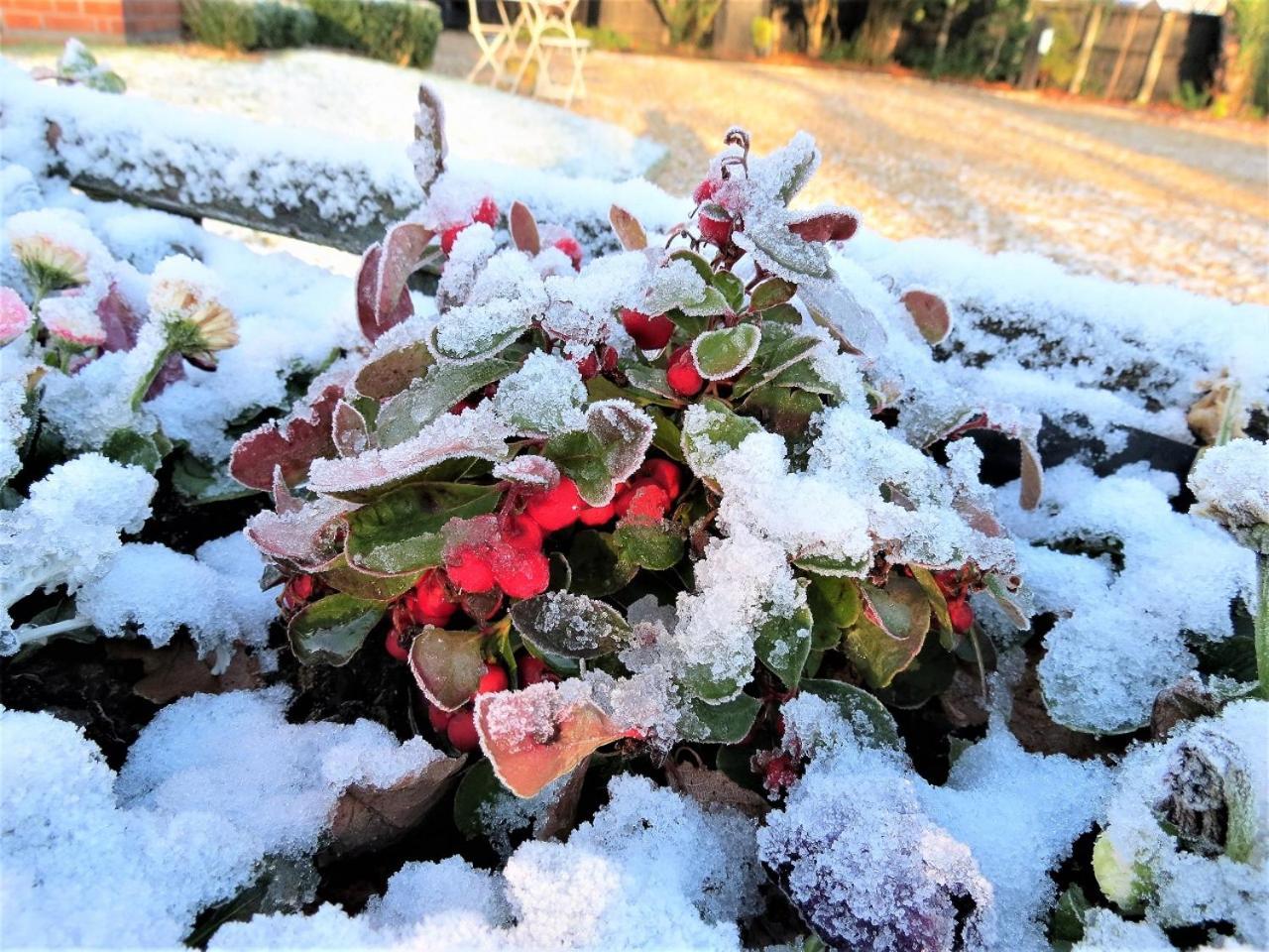 Little Redlands B&B ลินคอล์น ภายนอก รูปภาพ